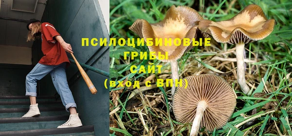 дурь Сафоново