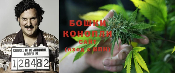 амф Белокуриха