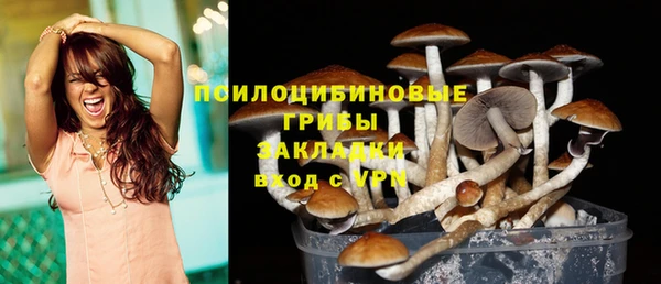амф Белокуриха