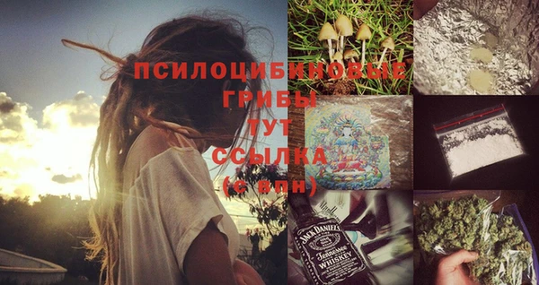 амф Белокуриха