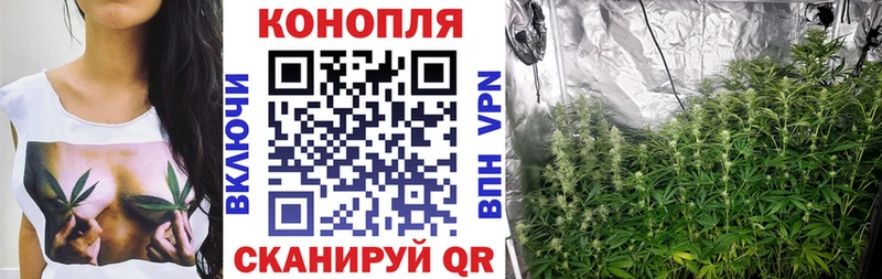 Бошки Шишки Ganja  купить закладку  Называевск 